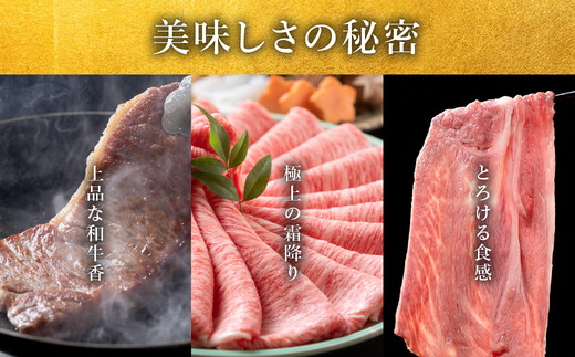 【3-162】極上松阪牛 しゃぶしゃぶ肉300g