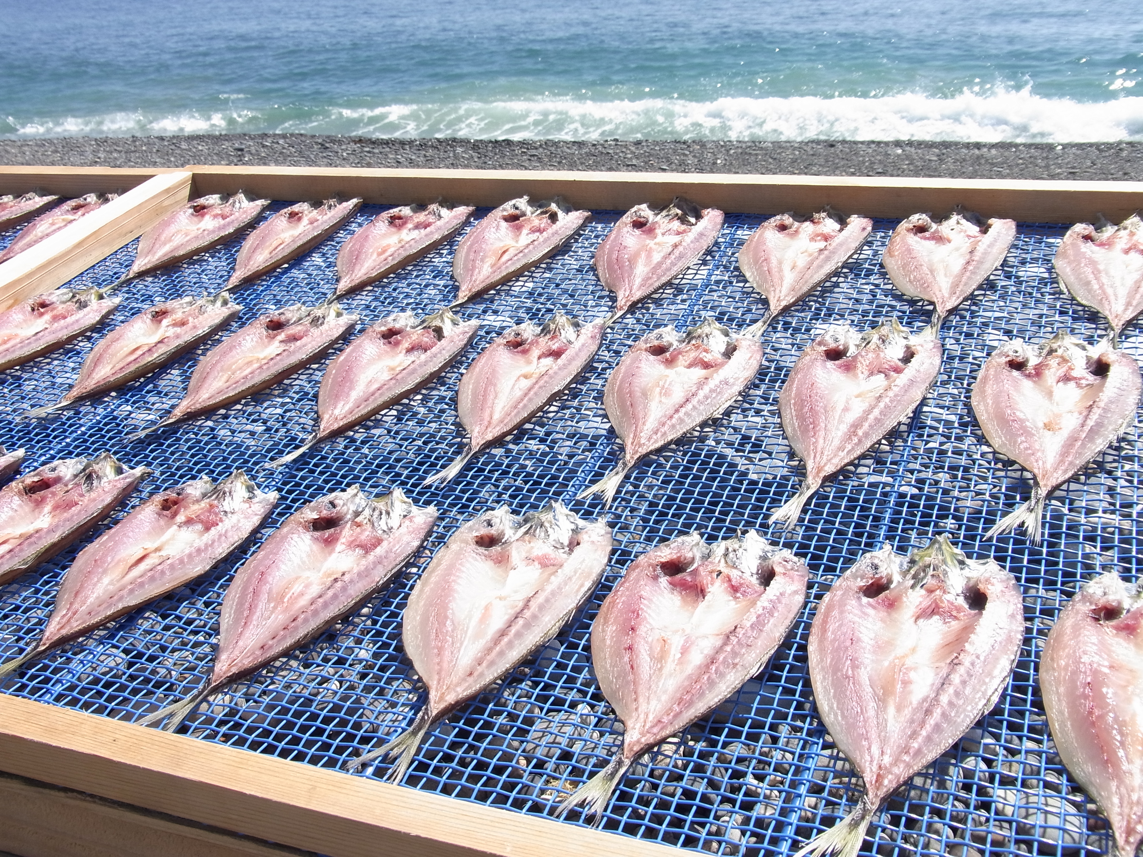 熊野干物詰め合わせ 海の恵み B 鯛 サンマ アジ カマス ブリ カワハギ スルメ 人気 干物セット