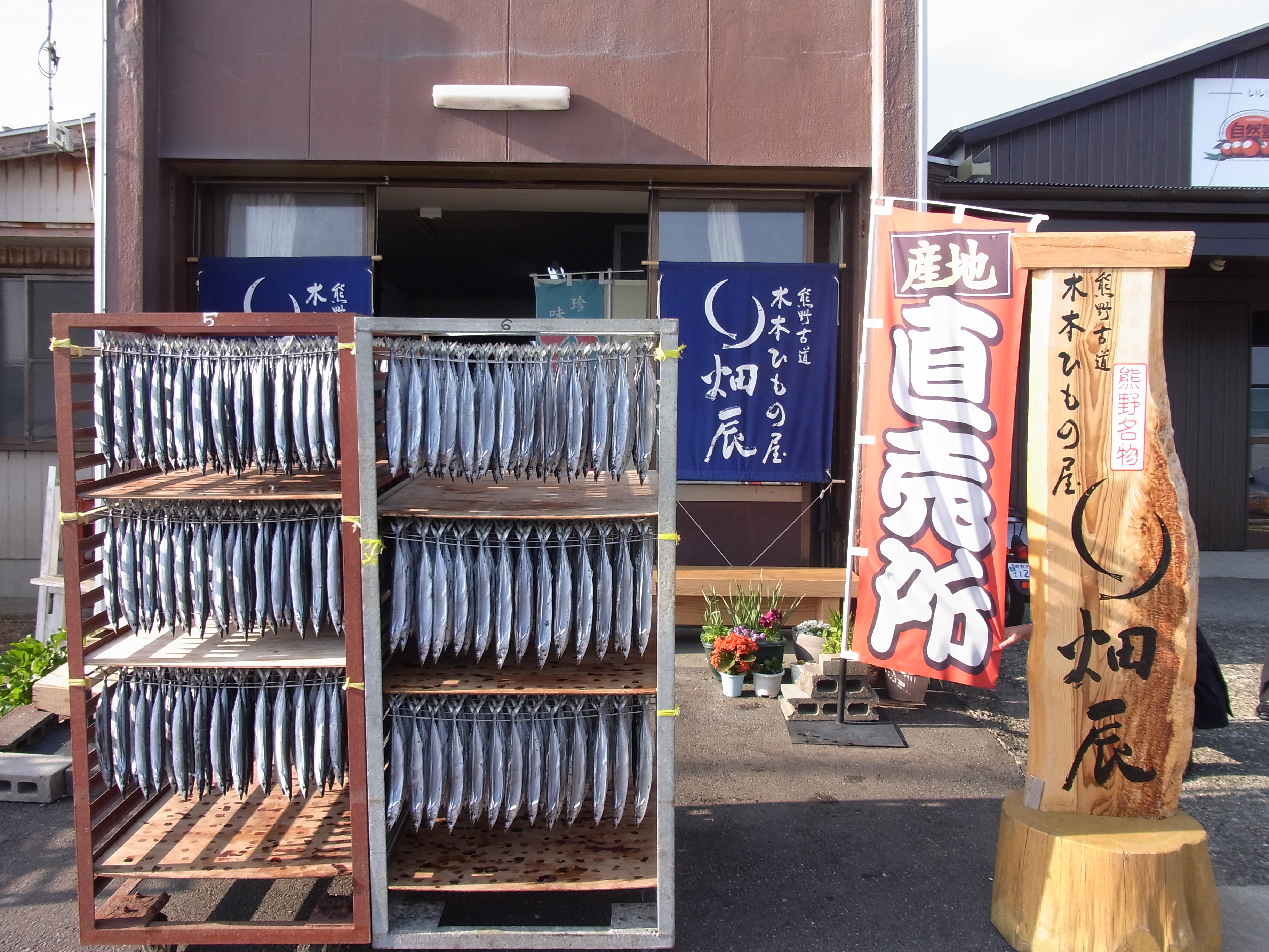 熊野干物詰め合わせ 海の恵み B 鯛 サンマ アジ カマス ブリ カワハギ スルメ 人気 干物セット