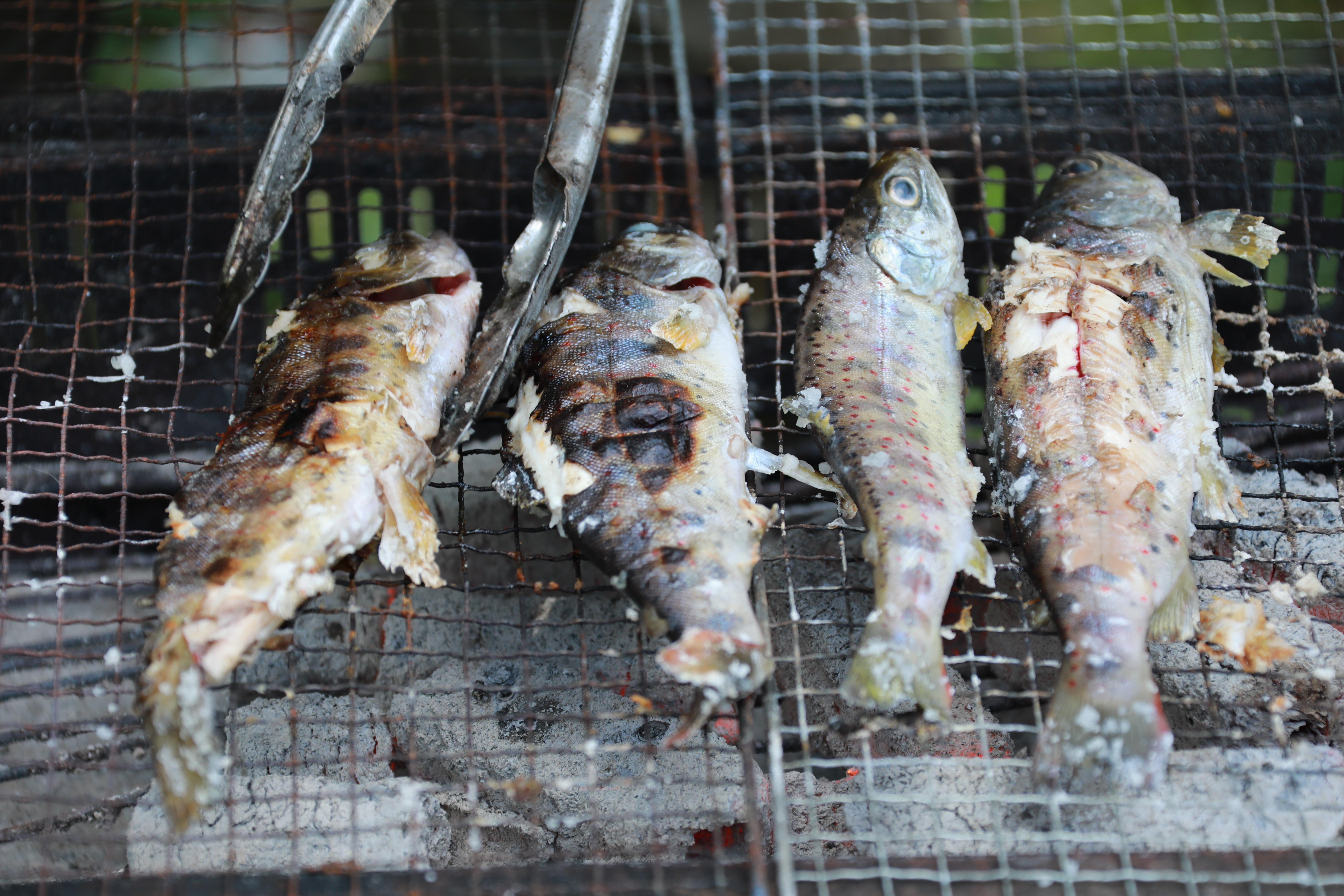 あまごツボ抜き　6本入り　下処理済み　塩焼きや色々なお料理に