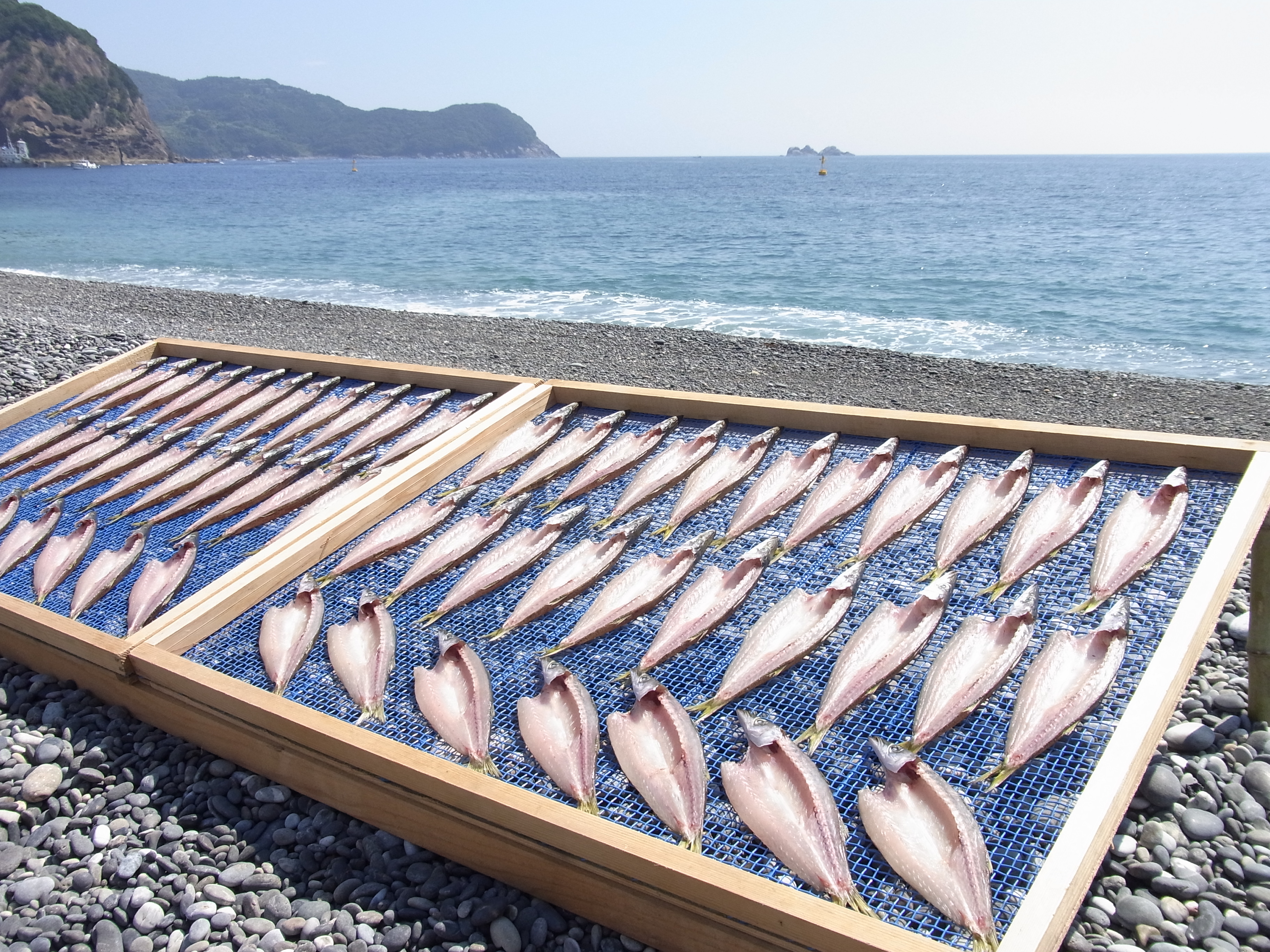 【定期便３回】 干物 熊野干物詰め合わせ 海の恵み D 鯛 サンマ アジ カマス ブリ カワハギ スルメ 人気 干物セット