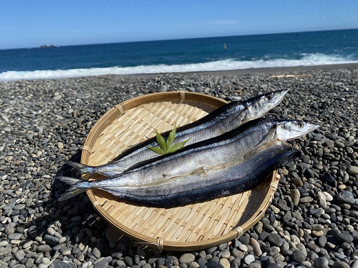 香酸柑橘と海洋深層水で美味しく減塩　減塩干物セット【しし岩】