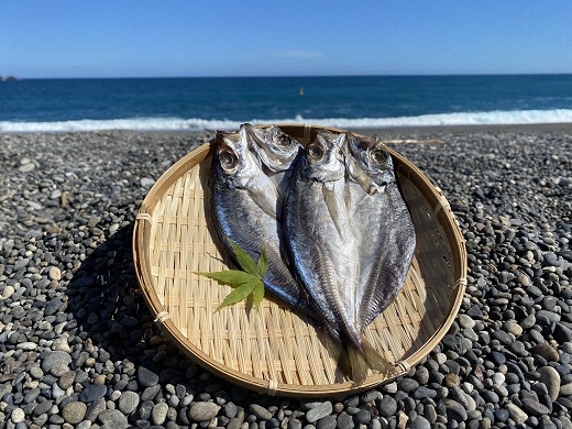 香酸柑橘と海洋深層水で美味しく減塩　減塩干物セット【しし岩】