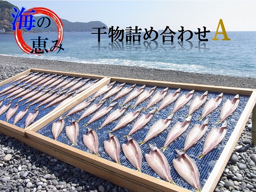 海の恵み　干物詰め合わせA