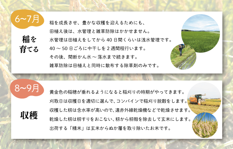 三重県産 山本農産のお米（コシヒカリ）の定期便 5kg×6回