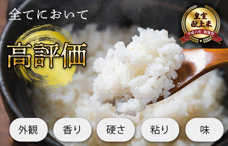 三重県産 山本農産のお米（コシヒカリ）の定期便 10kg×3回 yn3