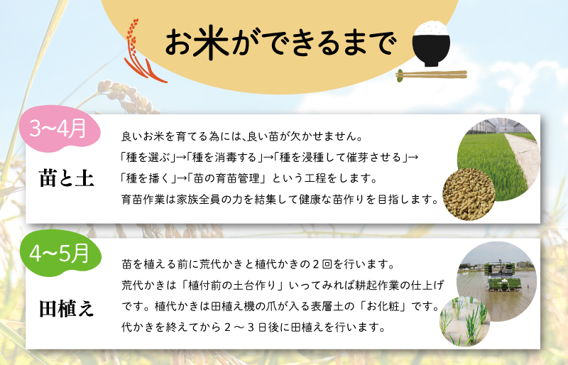 三重県産 山本農産のお米（コシヒカリ）の定期便 10kg×3回 yn3