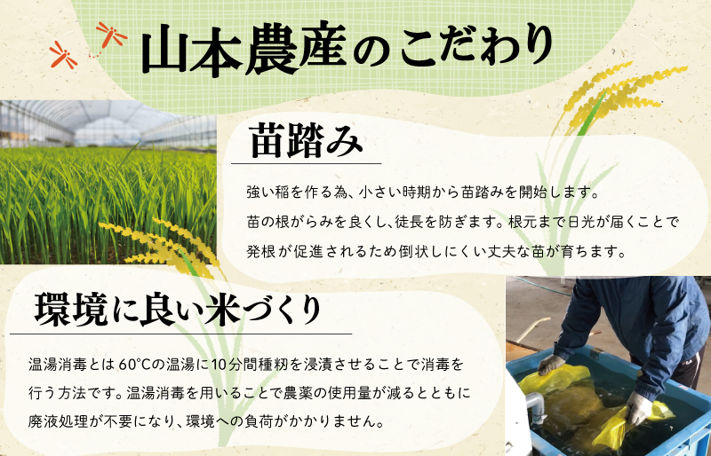 三重県産 山本農産のお米（コシヒカリ）の定期便 10kg×3回 yn3