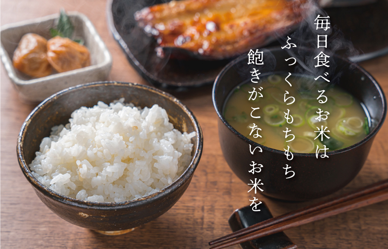 三重県産 山本農産のお米（コシヒカリ）の定期便 10kg×3回 yn3