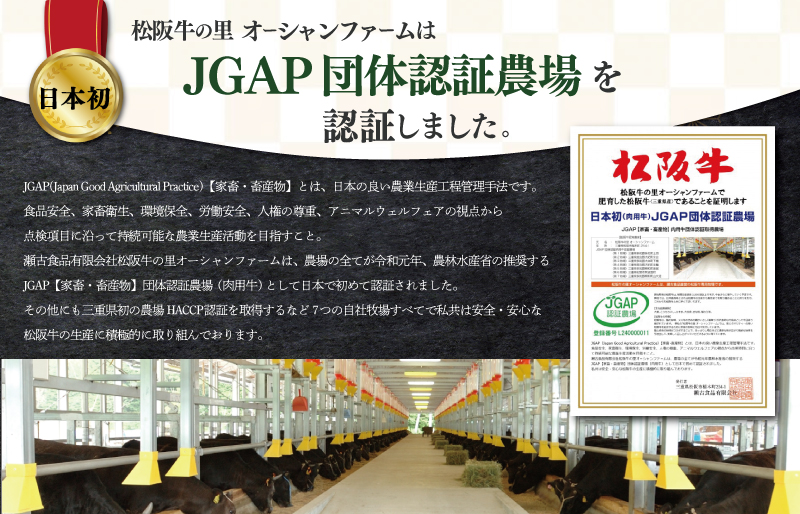 松阪牛 牛すじ 500g×2P 肉 牛 牛肉 和牛 ブランド牛 高級 国産 霜降り 冷凍 ふるさと 人気 すじ スジ すじ煮 煮込み 土手 土手煮 牛すじ肉 すじ肉 高たんぱく I44