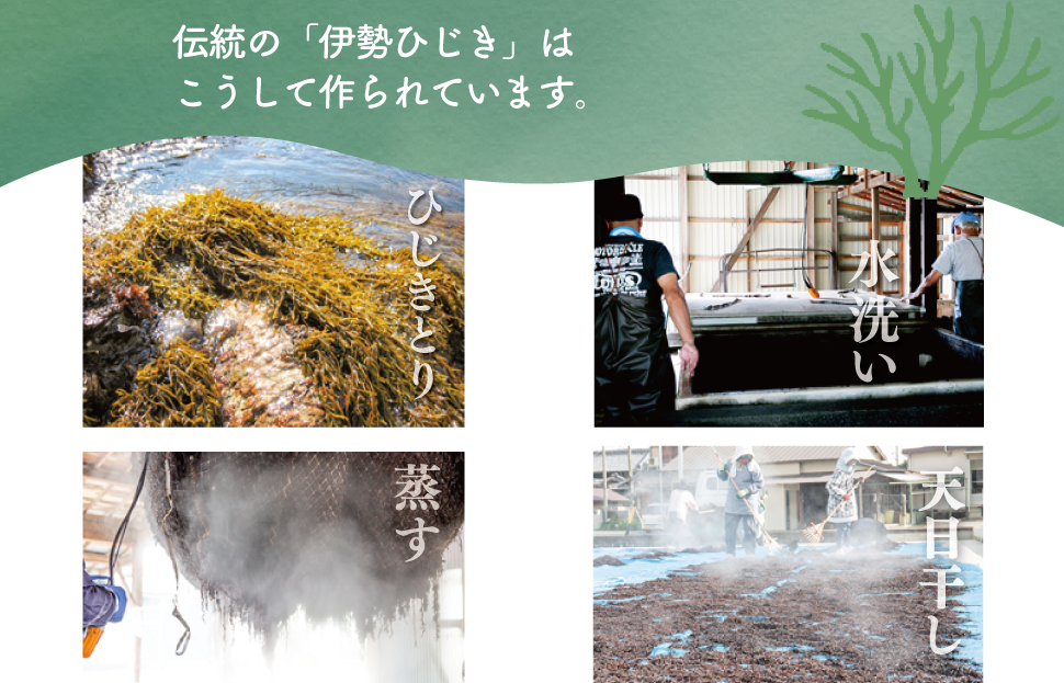 【伊勢丸い水産】 簡単！！ そのまま ひじき 6個パック サラダ マリネ かき揚げ 天ぷら 和え物 煮物 ドライパック 小分け 手軽 時短 戻し不要 ミネラル 栄養 鉄分