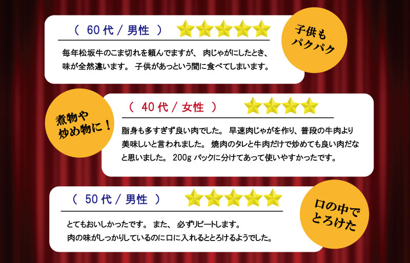 家庭用 松阪牛 小間切れ 200g×7P 肉 牛 牛肉 和牛 ブランド牛 高級 国産 霜降り 冷凍 ふるさと 人気 コマ切れ コマ 焼肉 肉じゃが 牛丼 カレー 煮込み 炒め 小分け 小間 こま こま切れ SS2