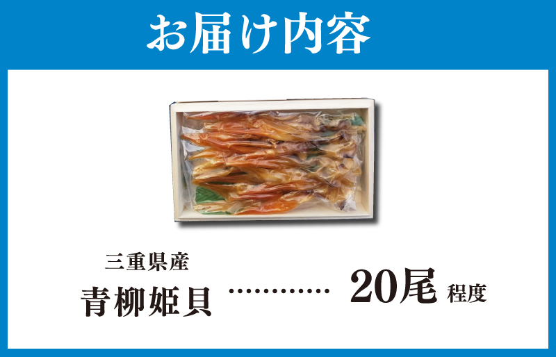青柳姫貝（珍味）貝 魚介 魚貝 海鮮 新鮮 人気 高級 珍味 おつまみ バカガイ アオヤギ 干物 I8