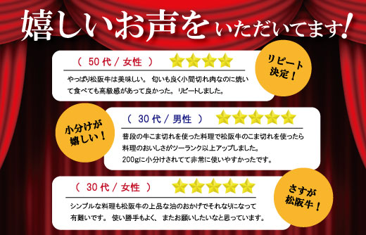 家庭用 松阪牛 小間切れ 200g×3P 肉 牛 牛肉 和牛 ブランド牛 高級 国産 冷凍 ふるさと 人気 小間切れ コマ切れ コマ 焼肉 肉じゃが 牛丼 I90