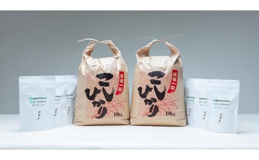 こしひかり 精米 20kg 奥伊勢茶（5g×20）3袋 （2ｇ×40）3袋 ／ 積木商店 お米 お茶 三重県 大台町