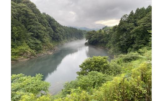 鮎　甘露煮　１０尾／大森水産　あゆ　お取り寄せグルメ　川魚　和食　三重県　大台町