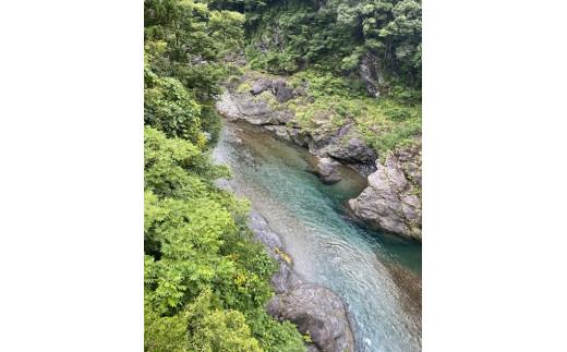 鮎　甘露煮　１０尾／大森水産　あゆ　お取り寄せグルメ　川魚　和食　三重県　大台町