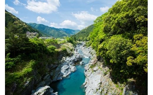 こしひかり 精米 5kg ／ 積木商店 お米 白米 米 こめ ご飯 おいしいお米 三重県 大台町