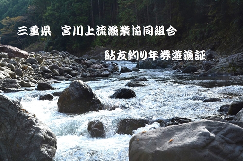 三重県 宮川上流漁業協同組合 鮎 友釣り 年券 遊漁証 ／ 釣り 川釣り アウトドア 三重県 大台町