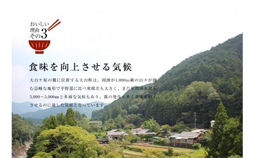 超特Ａ 奥伊勢米 つぶら ５kg ／ 宮川TK 食味値８０％以上 みえの安心食材 認定米 ブランド米 三重県 大台町