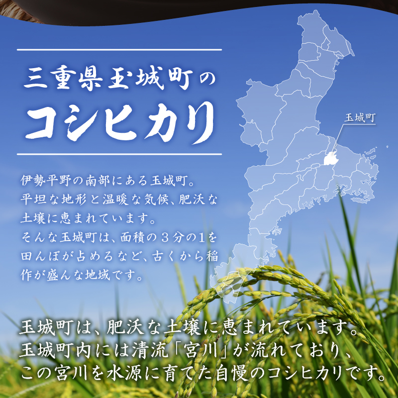 令和5年産米 三重県産コシヒカリ20kg(10㎏×2袋) 新嘗祭皇室献上米農家