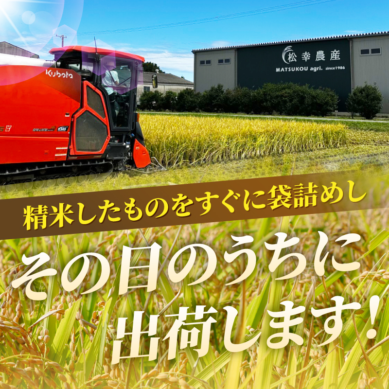 令和7年度産　コシヒカリ　特選米　10kg