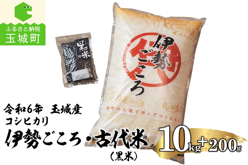 令和6年玉城産コシヒカリ「伊勢ごころ」10kgと古代米(黒米)セット