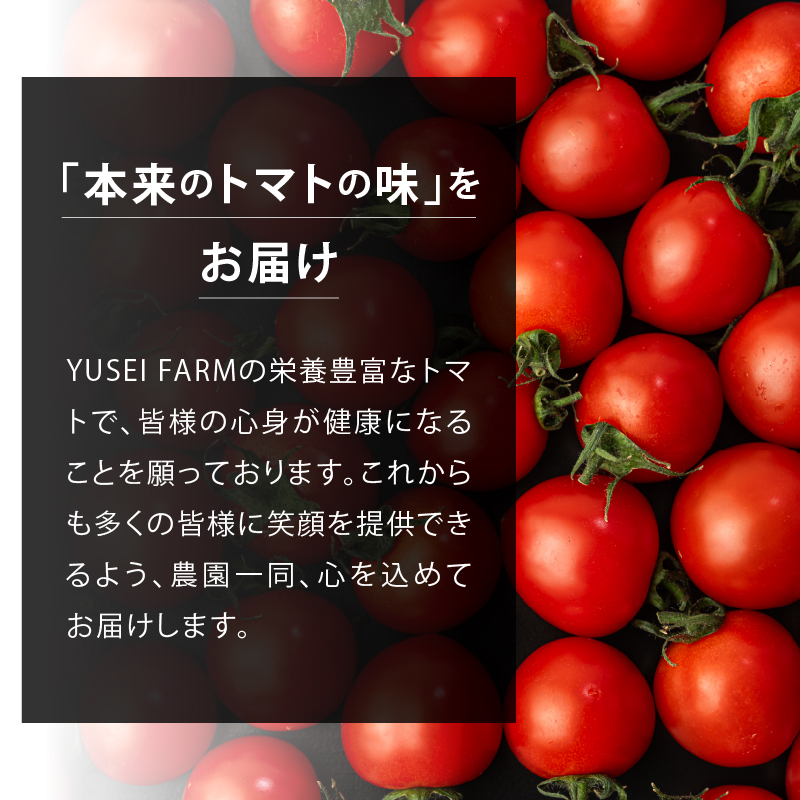 HOLY TOMATO JUICE 2本セット