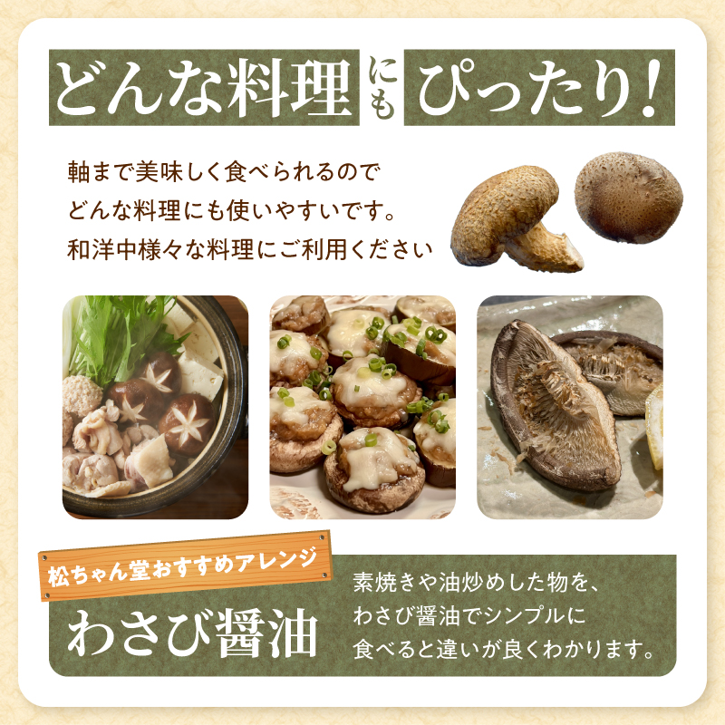 国内産菌床しいたけ1.2kg〜1.4kg