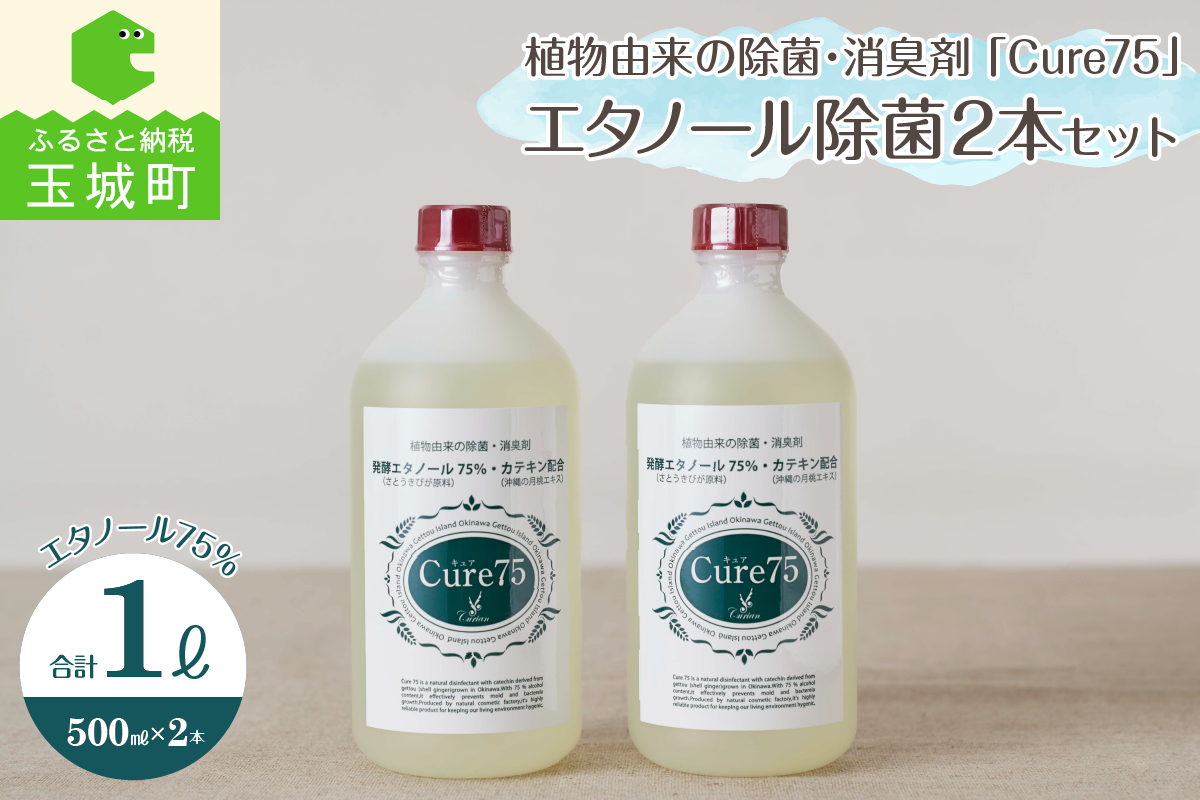 エタノール除菌 500ml×2本セット