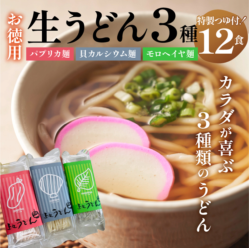 お徳用(簡易包装) 生うどん3種12食詰め合わせセット