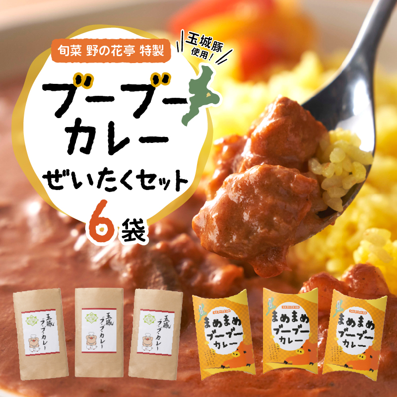 玉城豚カレー ぜいたくセット 6袋入(2種×3袋)