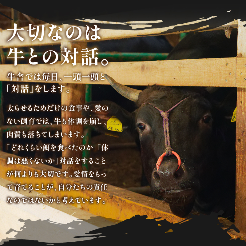 松阪牛ホルモン 600g(2種×300g)