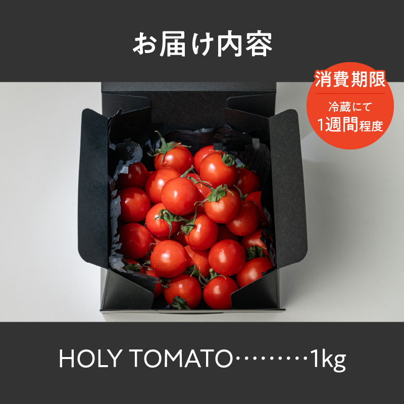 HOLY TOMATO