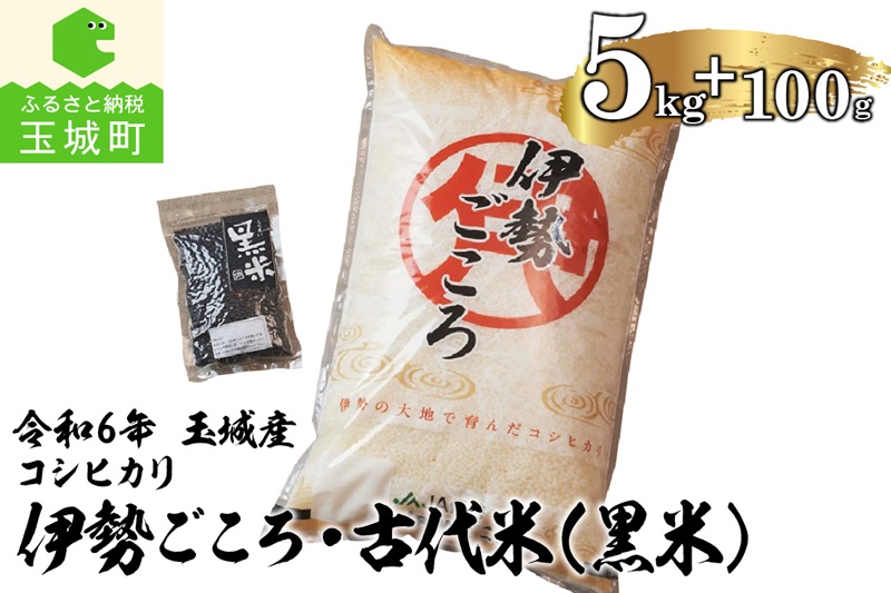 令和6年玉城産コシヒカリ「伊勢ごころ」5kgと古代米(黒米)セット