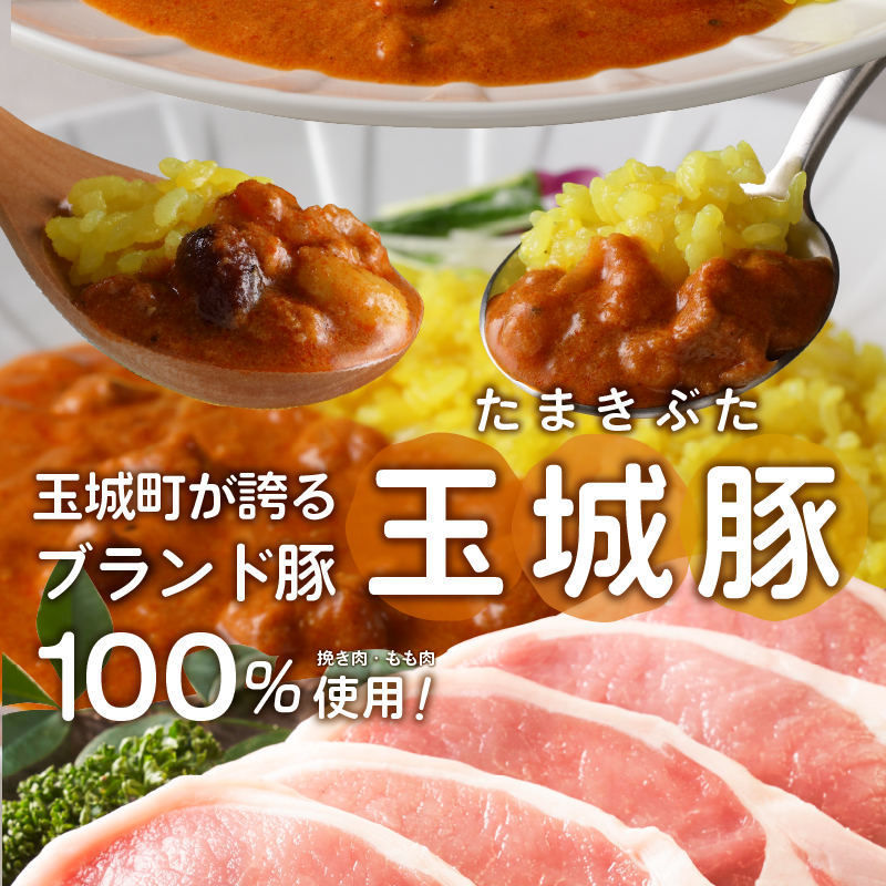 玉城豚カレー ぜいたくセット 6袋入(2種×3袋)