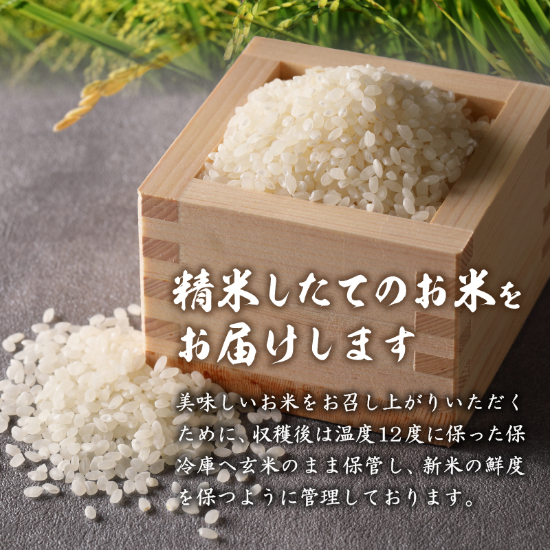 【定期便】 令和6年産米 三重県産コシヒカリ5kg×3ヶ月 新嘗祭皇室献上米農家