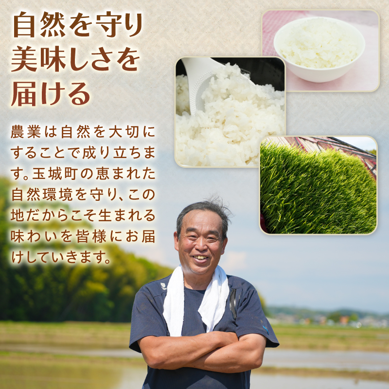 令和7年産 にじのきらめき 10kg
