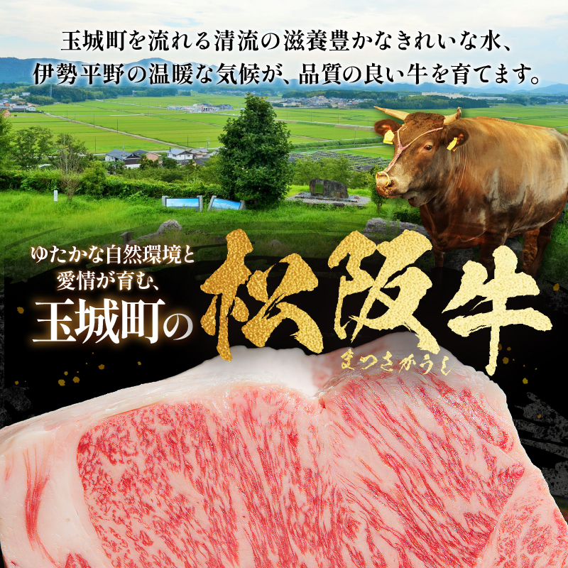 松阪牛サーロイン1枚(200g×1枚)