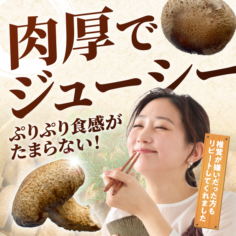 国内産菌床しいたけ1.2kg〜1.4kg