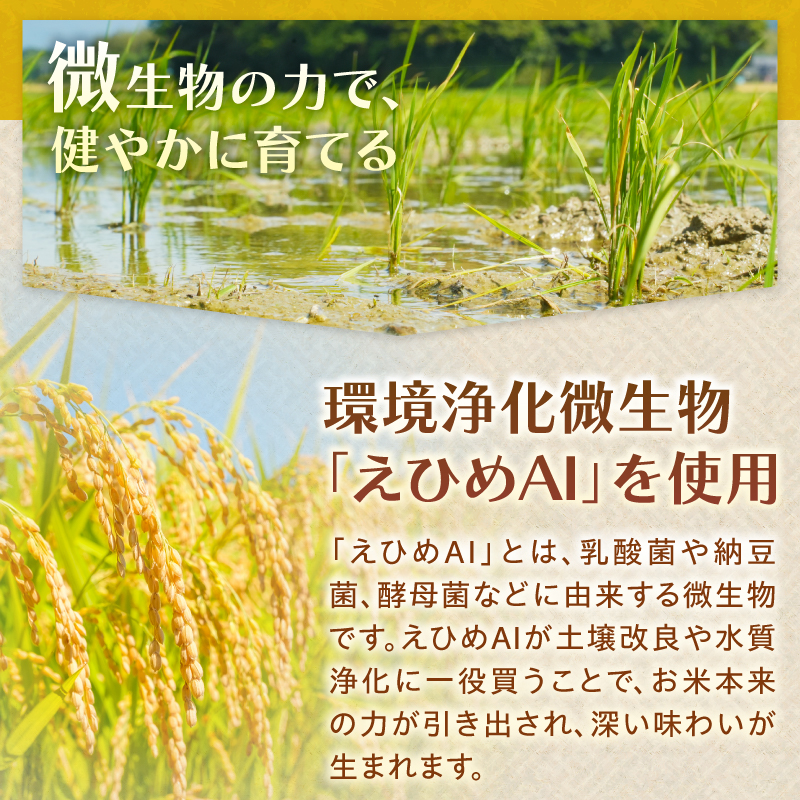 令和7年産 にじのきらめき 10kg