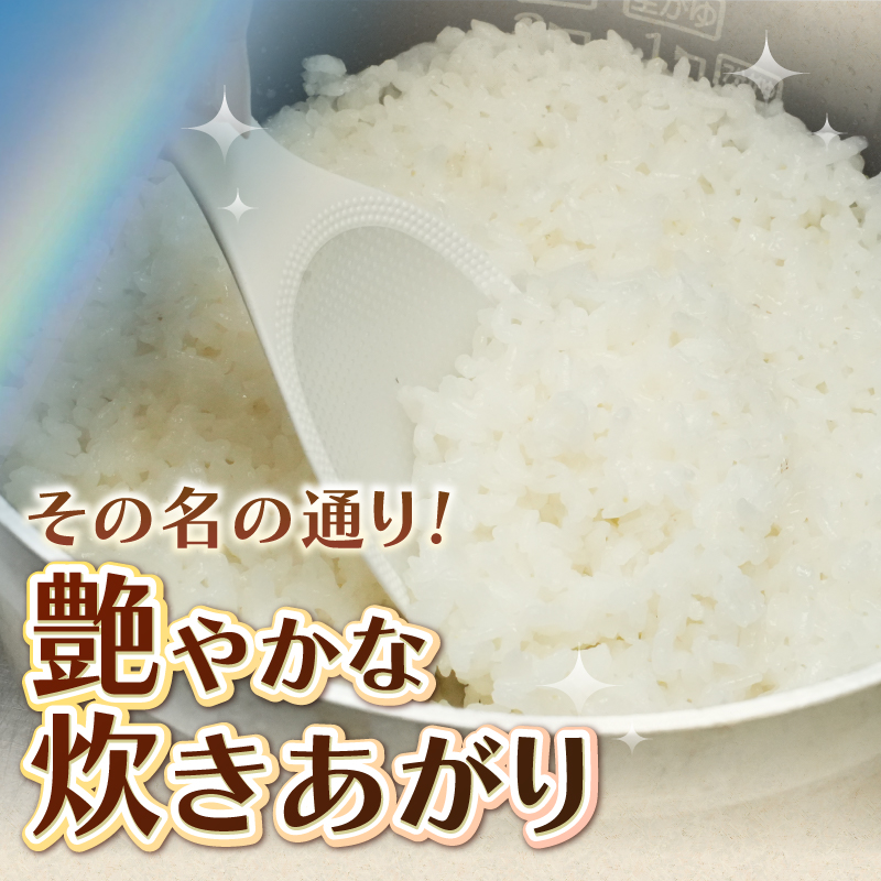 令和7年産 にじのきらめき 10kg