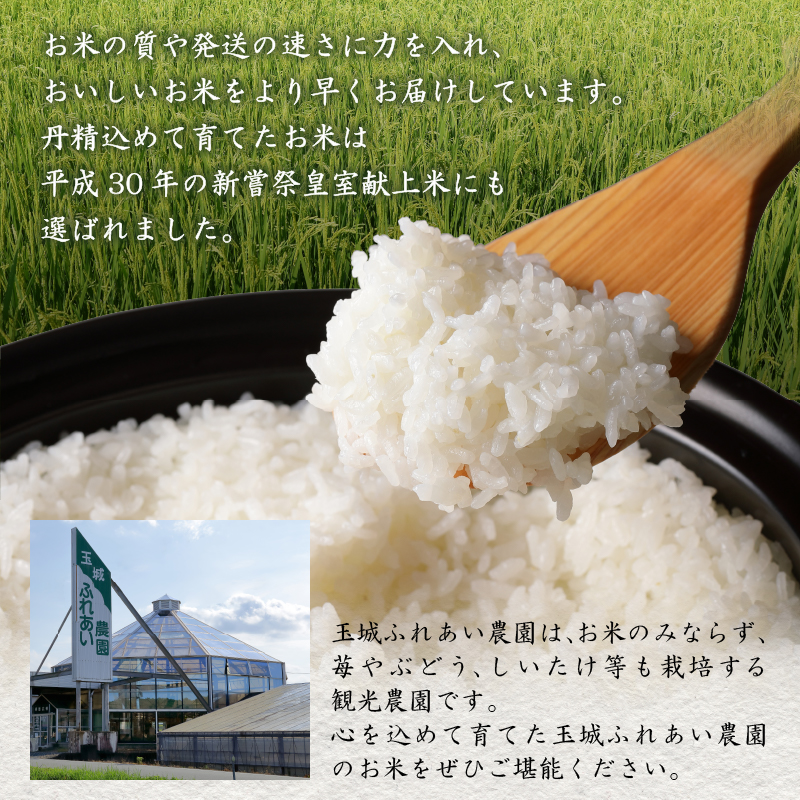 令和7年産米 三重県産コシヒカリ20kg(10kg×2袋) 新嘗祭皇室献上米農家