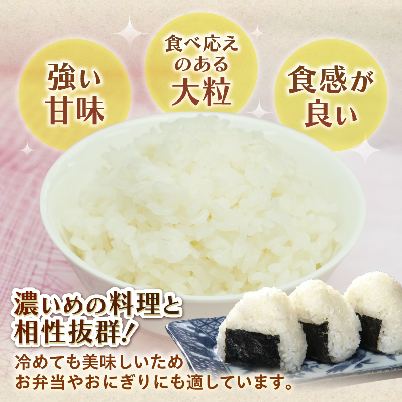 令和7年産 にじのきらめき 10kg