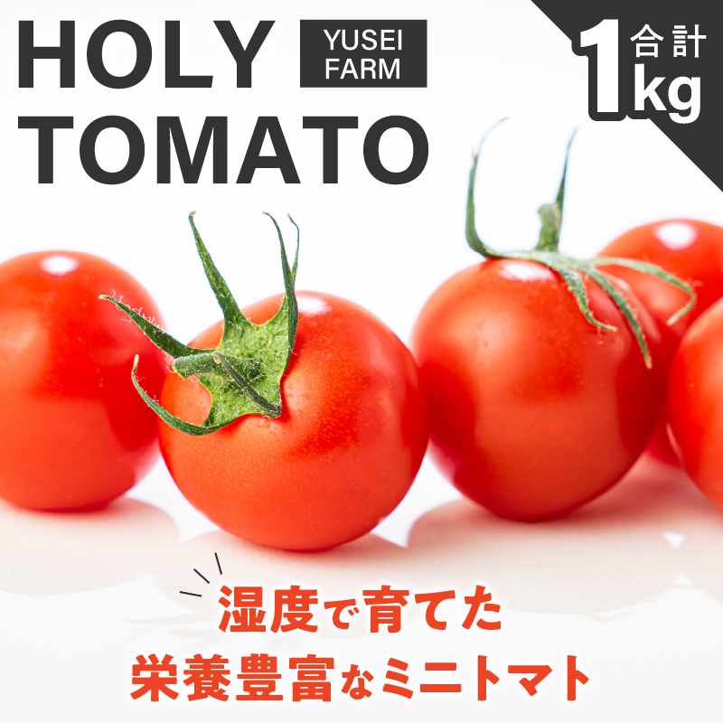 HOLY TOMATO