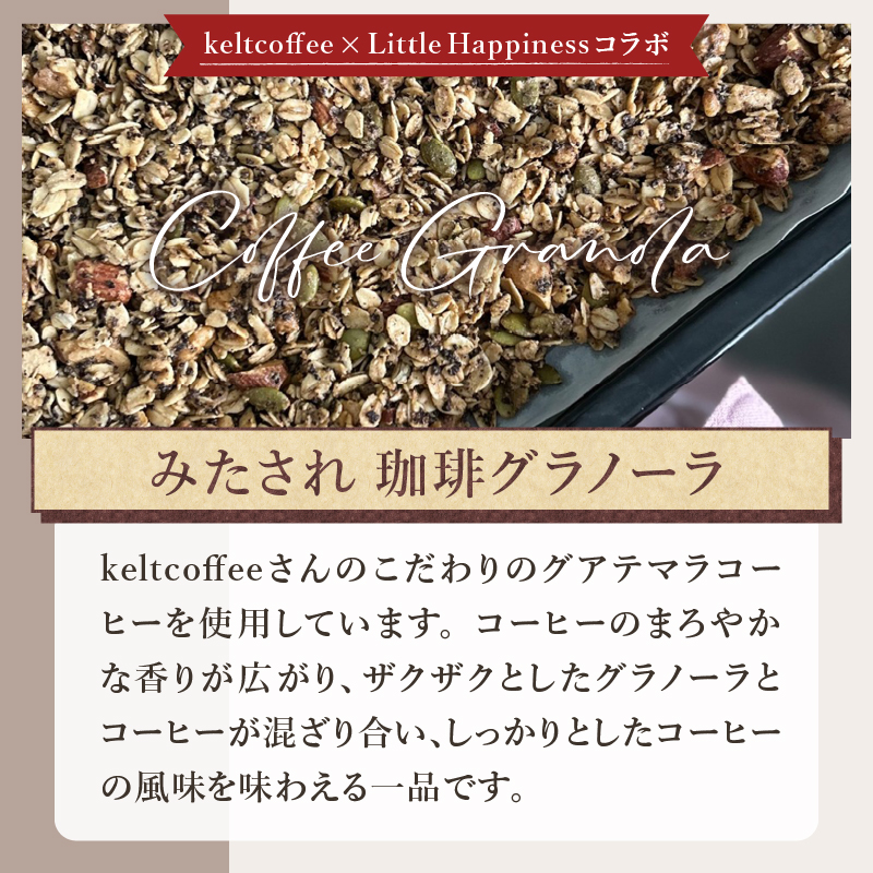 Large Size/みたされグラノーラ