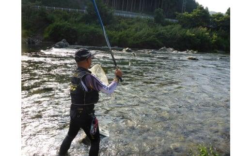 鮎　遊漁券　年券　1種／大内山川漁業協同組合　釣り　友釣り　川釣り　アウトドア　大紀ブランド　三重県　大紀町