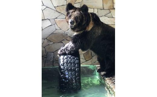 大内山動物園 年間パスポート１枚 ／ 動物園 チケット エサ付き 旅行 三重県 大紀町