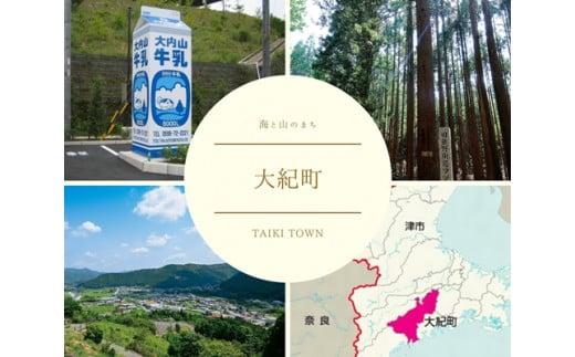 （冷凍） 大内山アイスクリーム バニラ ５００ml×４個 セット ／ 大内山ミルク村 大内山アイス 大内山 乳製品 アイス デザート スイーツ 大紀ブランド 三重県 大紀町