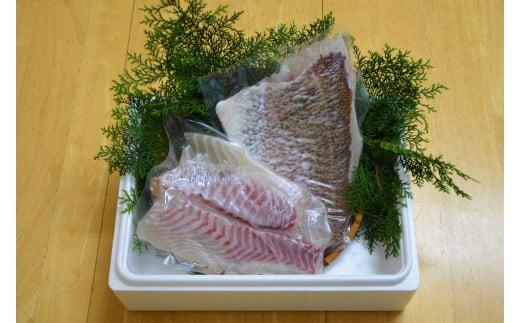 （冷蔵） 錦産 養殖 真鯛 フィレ 半身 2枚入り ／ 魚々錦 ふるさと納税 大紀ブランド 魚 たい 海鮮 海産 お取り寄せ グルメ 三重県 大紀町